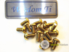 PVD Gold Color Titanium Disc Rotor Bolts Bicycle