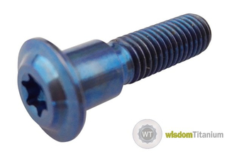 Suzuki Titanium Brake Rotor Bolt M8*1.25*33 