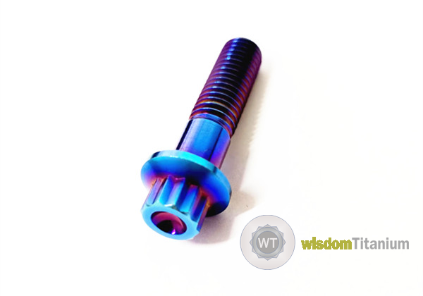 Titanium wheel hub bolts